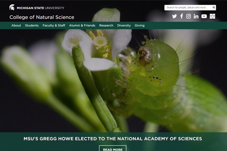 Thumbnnail of MSU NatSci homepage from 2019
